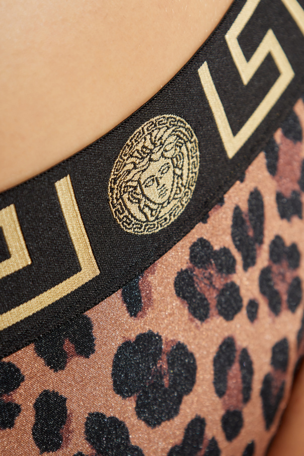 Versace Leopard-print Bikini Bottoms In Black