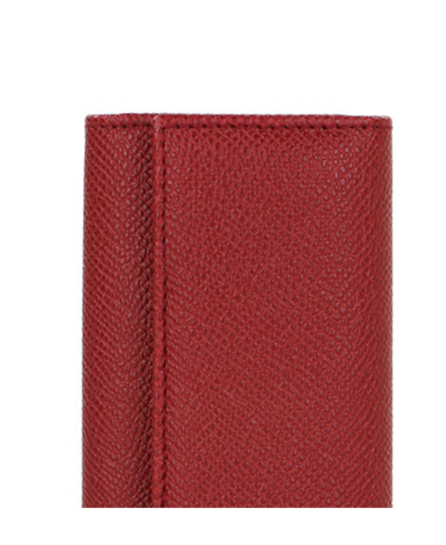Dolce & Gabbana Logo Details Key Bag In Red
