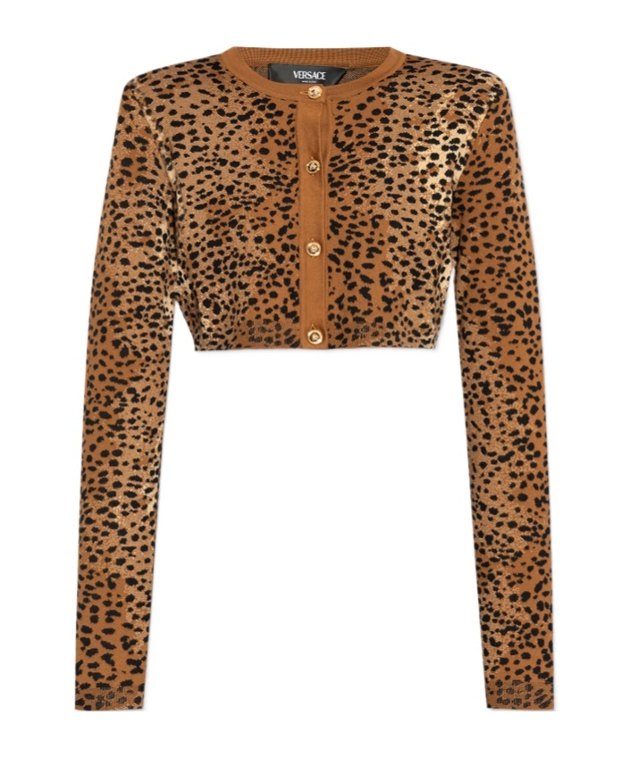 Versace Cardigan Court Leopard En Maille De Laine In Brown