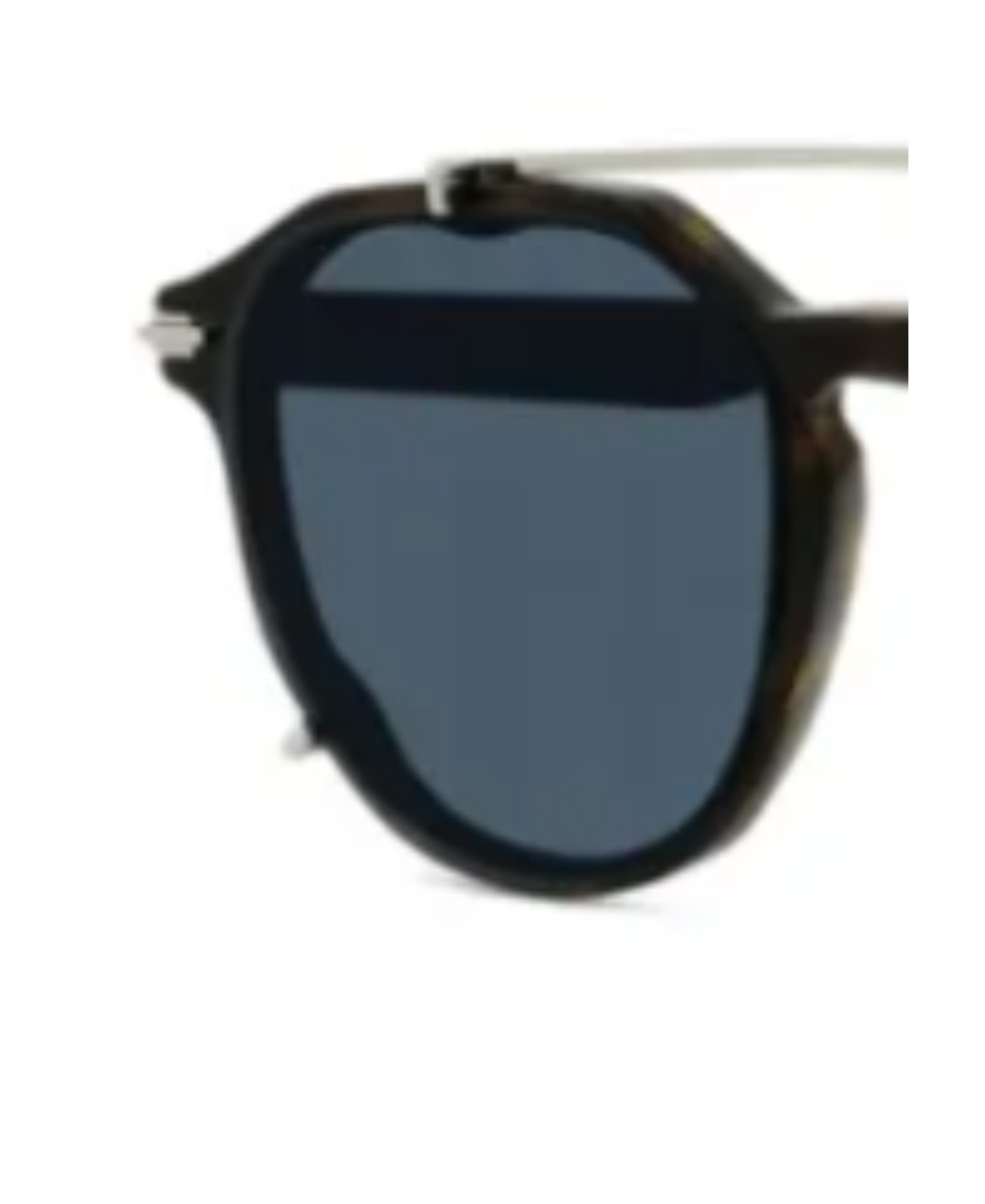 Dior Tortoiseshell-effect Pantos Sunglasses In Blue