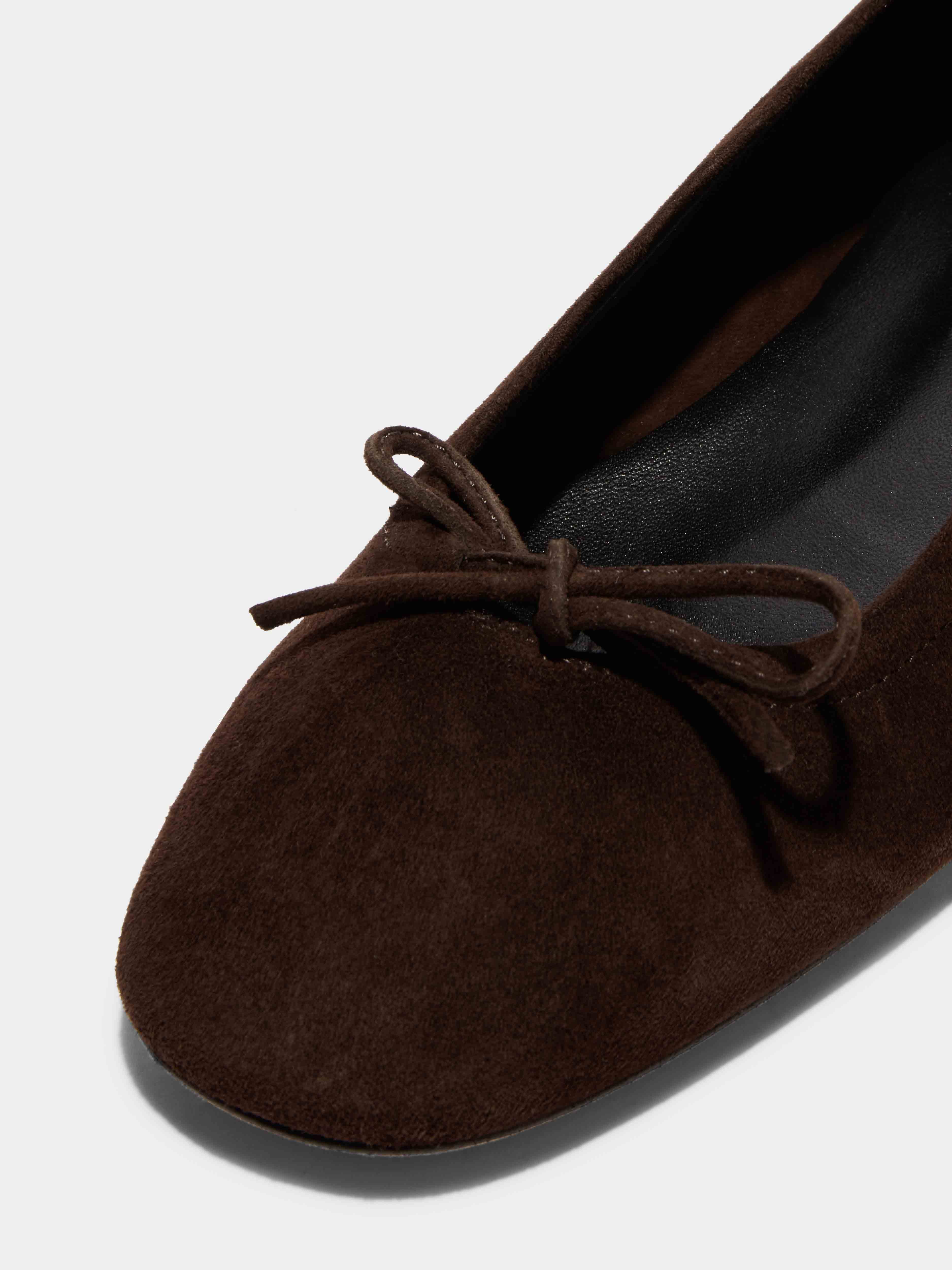 Aeyde Delfina Bow-detailed Ballet Flats In Brown