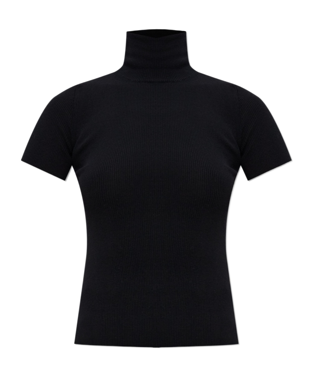 Max Mara Ribbed Turtleneck Top In Black