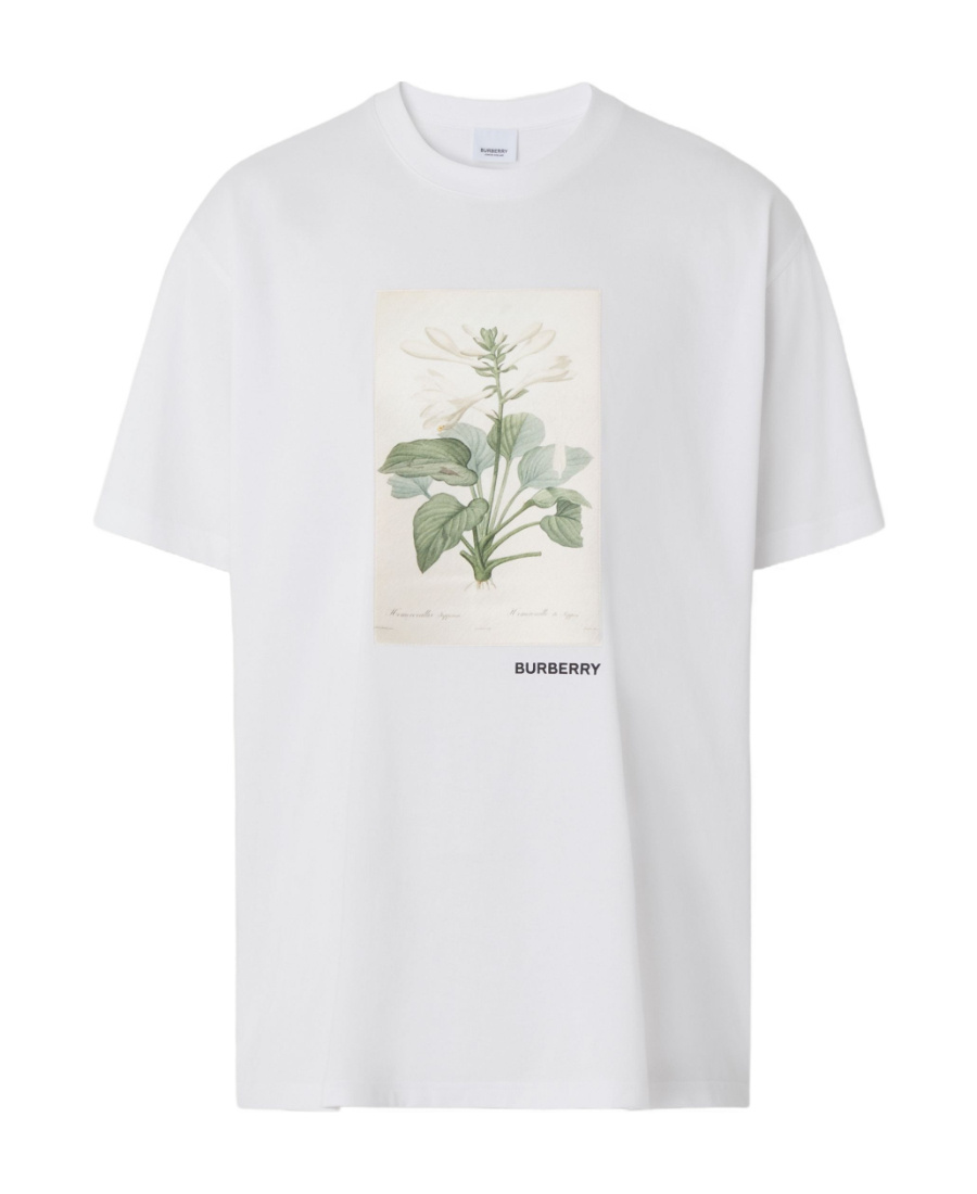 Burberry Botanical Sketch Print Cotton T-shirt In White