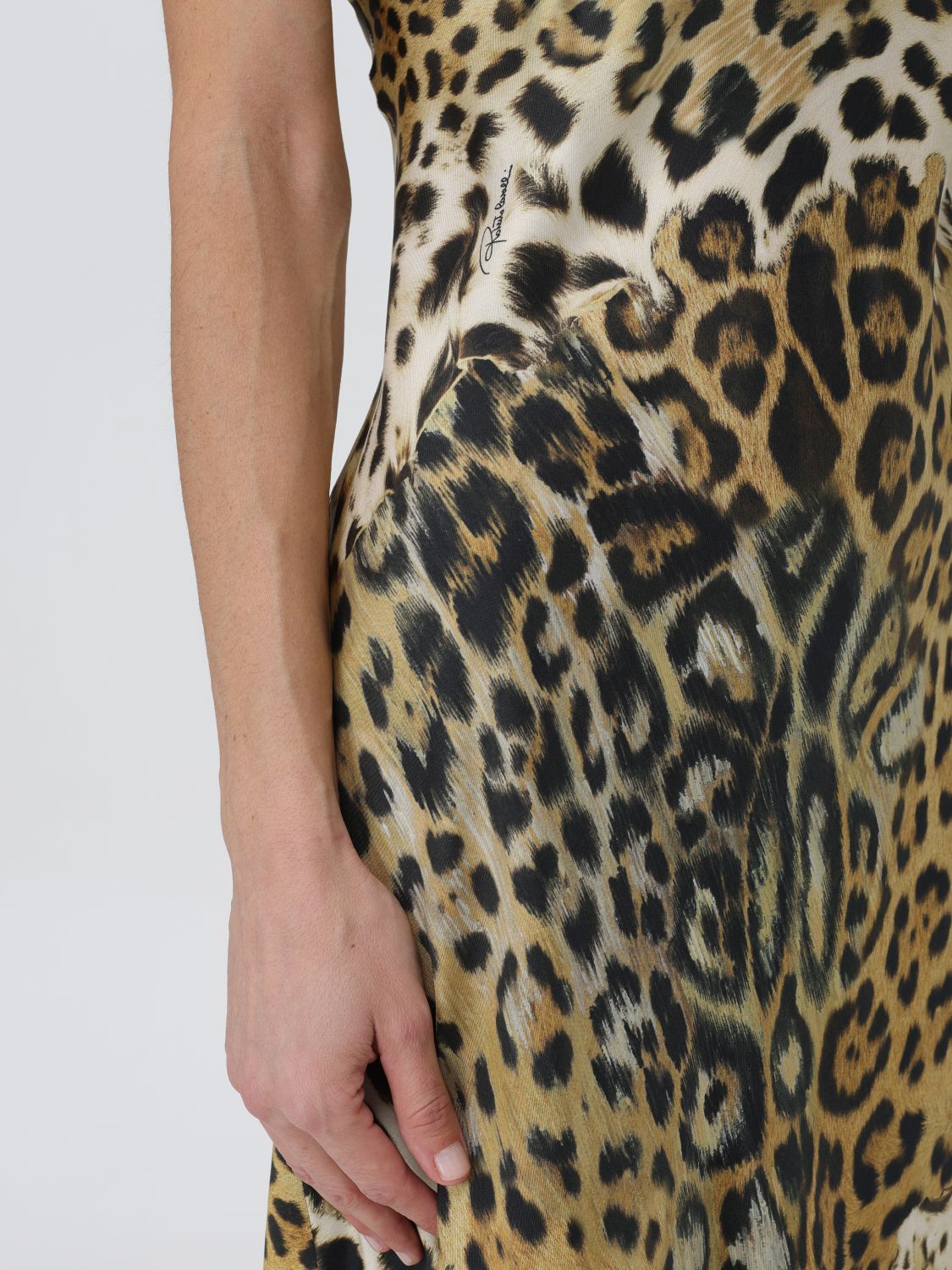 Shop Roberto Cavalli Leopard Print Silk Dress In Green