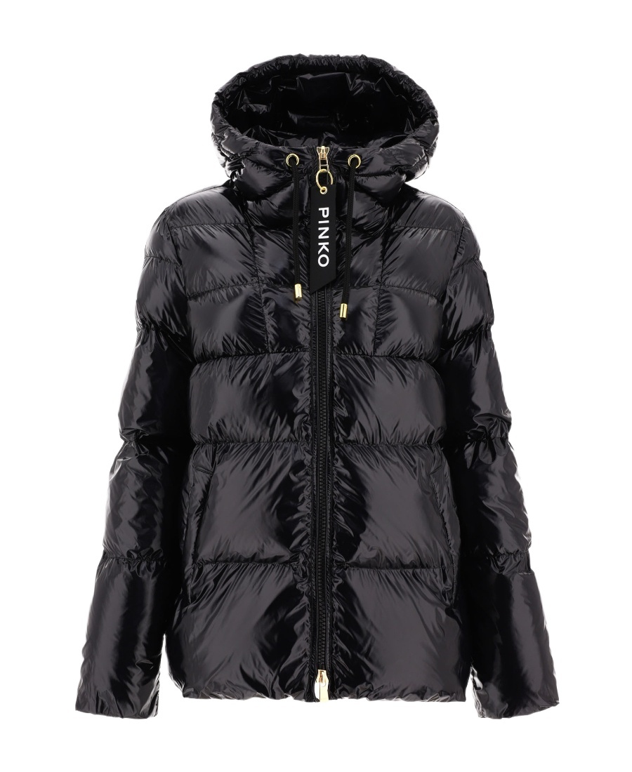 Shop Pinko High-neck Puffer Jacket In Black