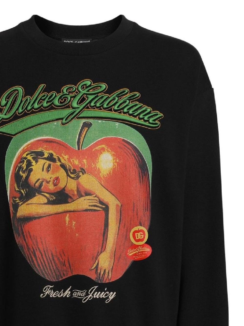 Dolce & Gabbana Sweatshirt With Print And Embroidery In Black