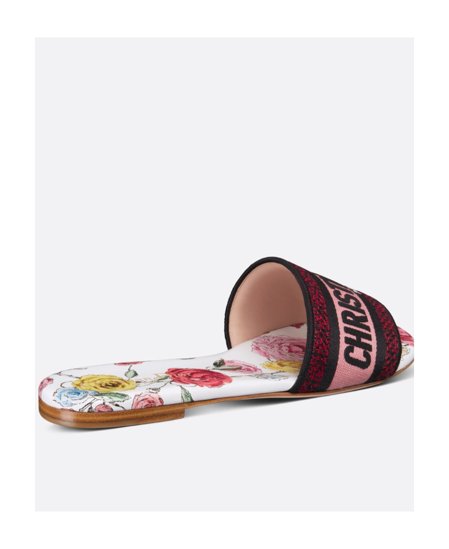 Dior Dway Slide In Multi