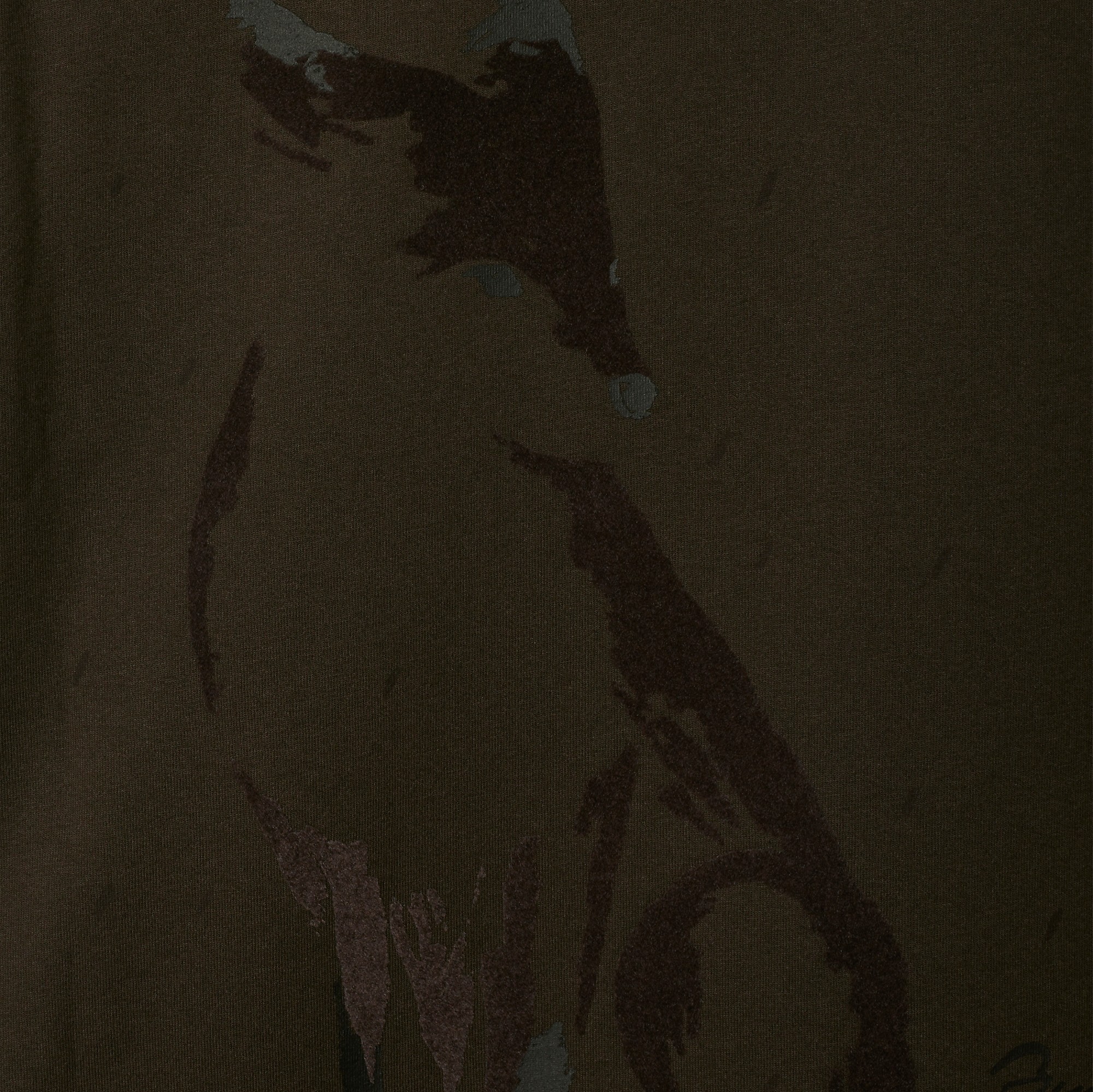 Burberry Cotton Short-sleeved T-shirt In Black