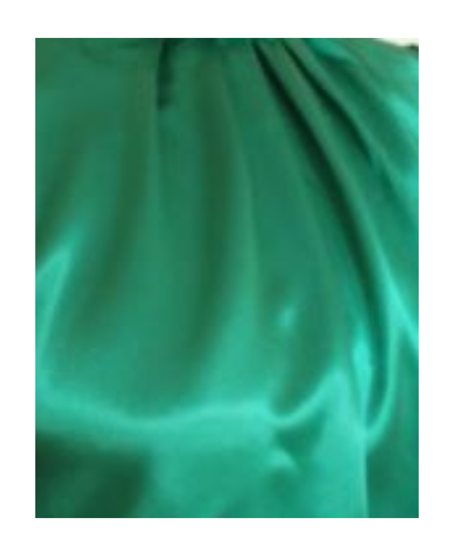 CHAMPION SATIN BLOUSE WITH HIGH NECK 