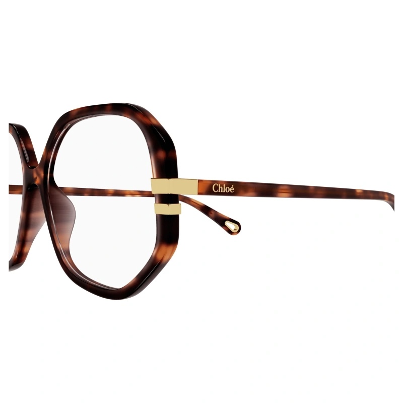 Chloé Oversized-frame Glasses In Brown