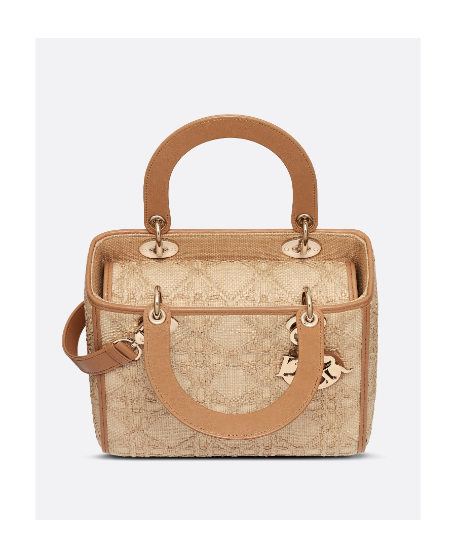 Dior Logo Handbag