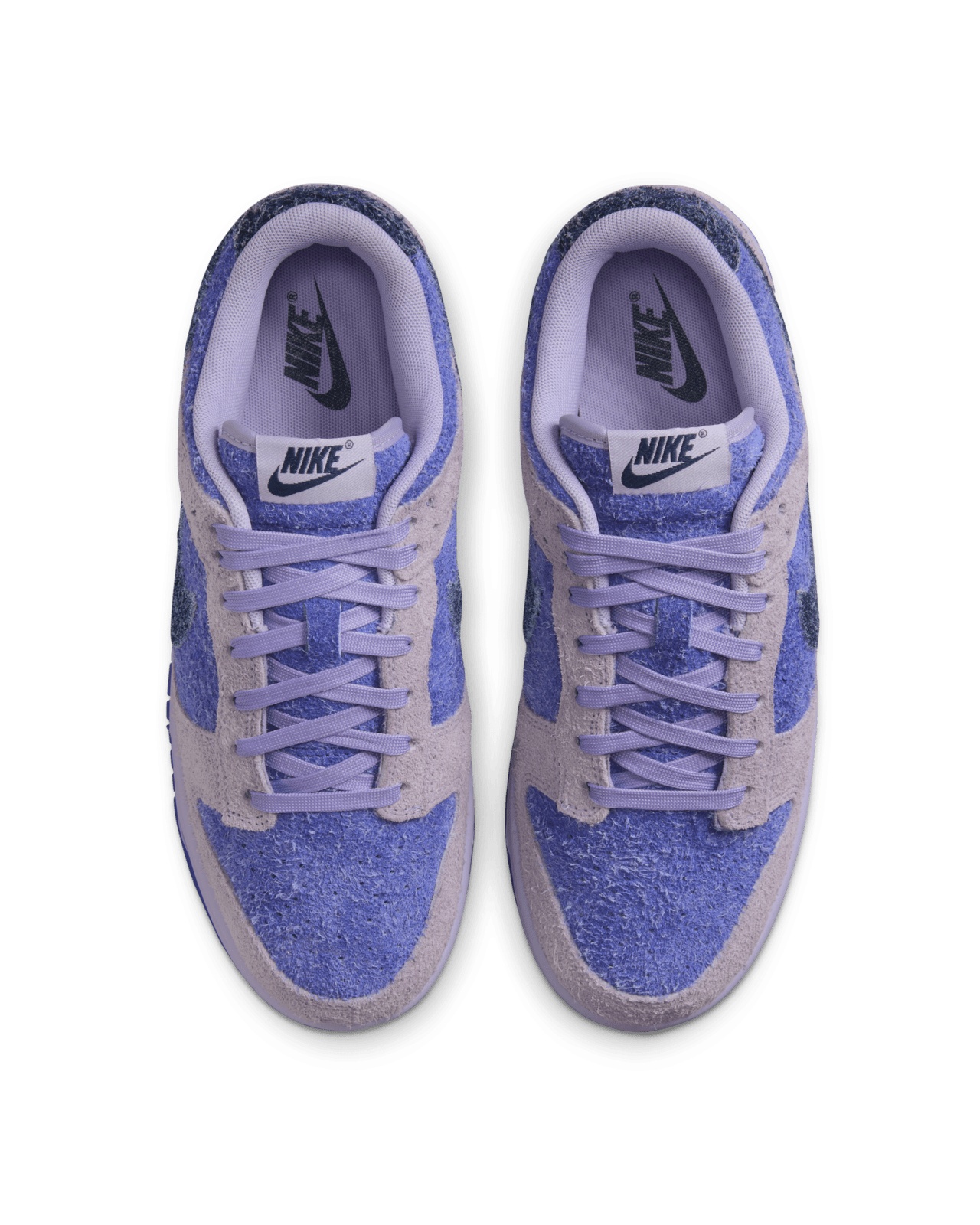 Nike Dunk Low Se Basketball Sneaker In Blue