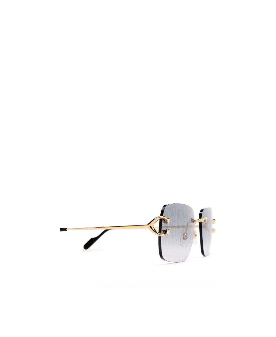 Cartier Eyewear In Gray
