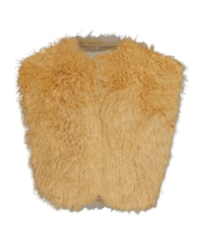 Isabel Marant Round Neck Sleeveless Vest In Brown