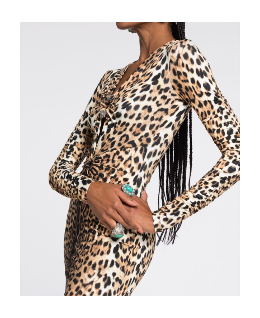 Shop Roberto Cavalli Leopard Print V-neck Minidress In Multicolor