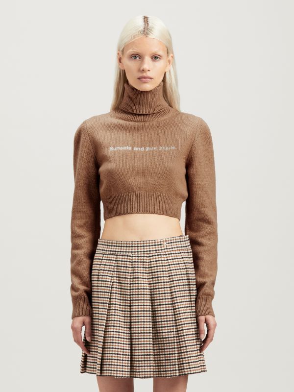 Palm Angels Sunsets Embroidered Cropped Jumper In Brown