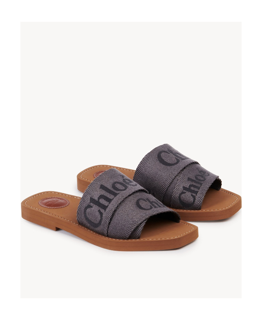 Chloé Logo Slippers In Brown