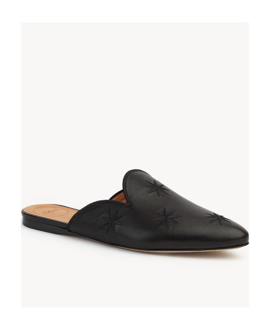 Chloé Pointed Muller Shoes In Black