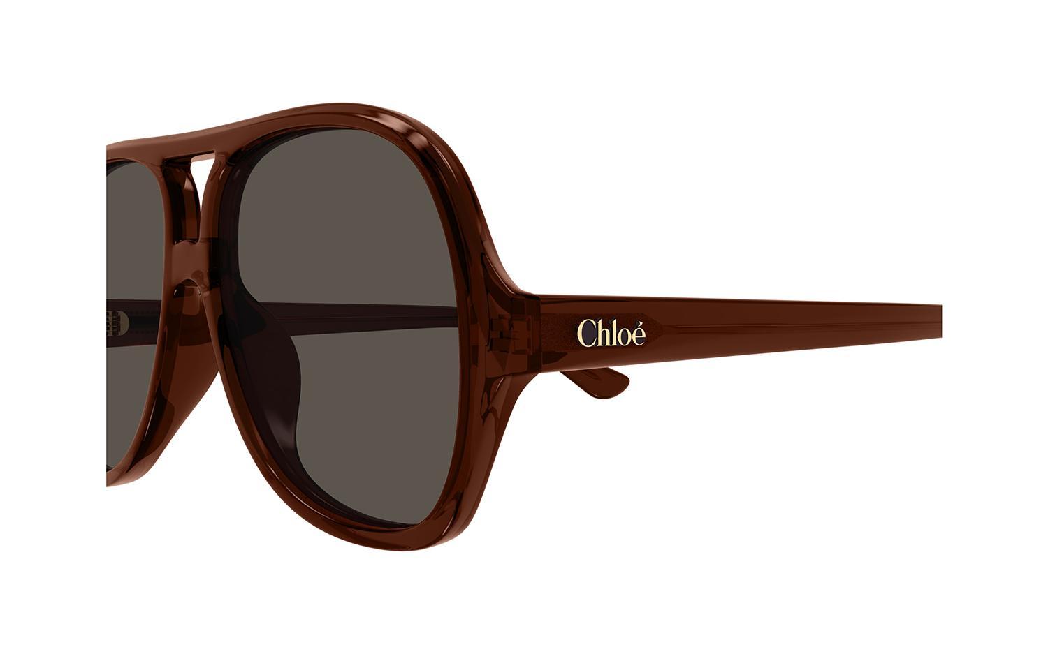 Chloé Full Frame Sunglasses In Black