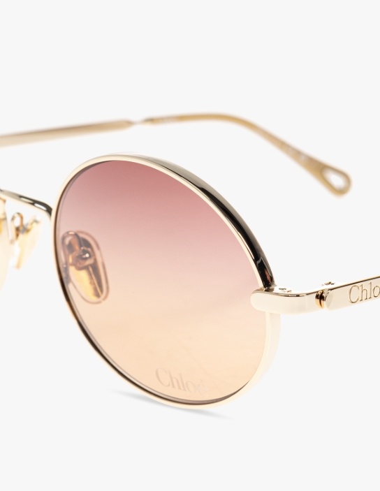 Chloé Full Frame Sunglasses In Brown