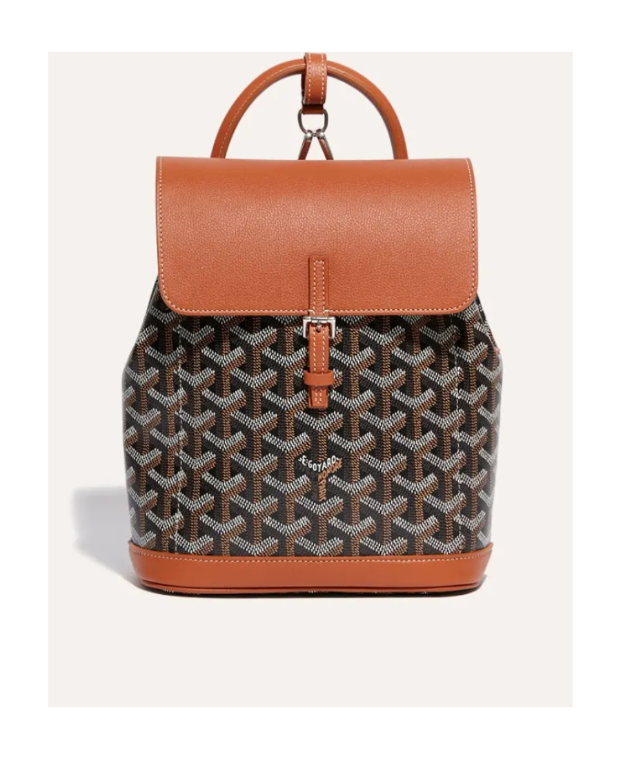 Pre-owned Goyard Mini Alpin Backpack In Multicolor