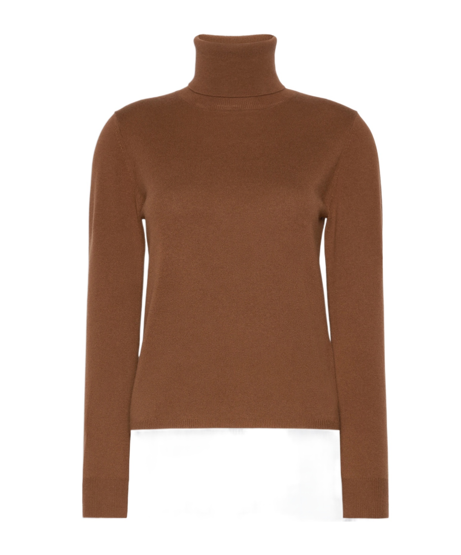 Max Mara Wool And Cashmere Turtleneck Sweater In Brown