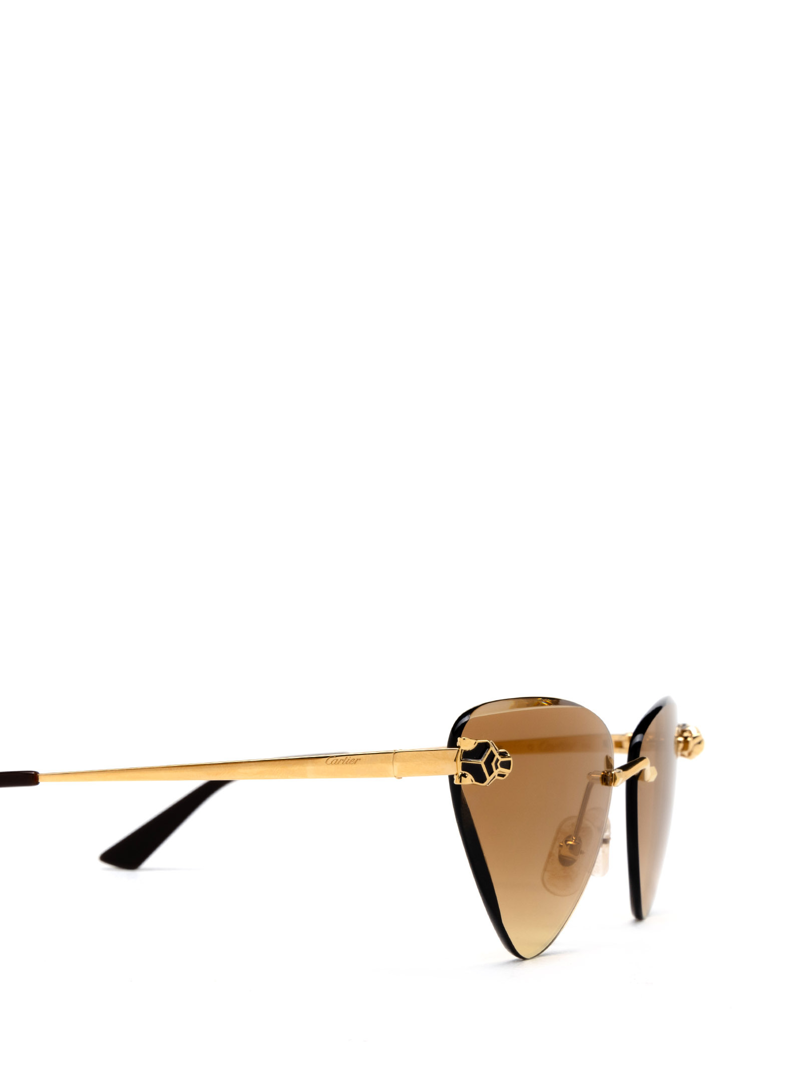 Cartier Panther-plaque Cat-eye Sunglasses In Nude