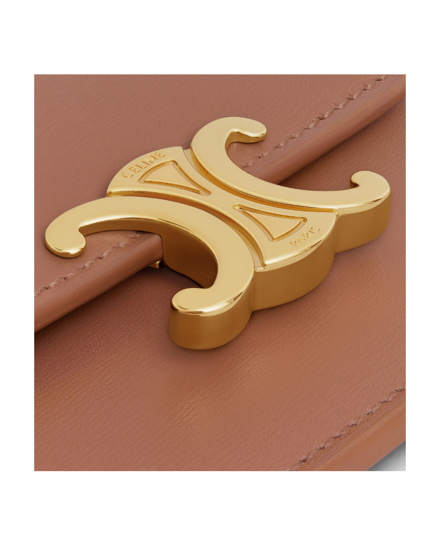 Celine Triomphe Card Bag In Brown