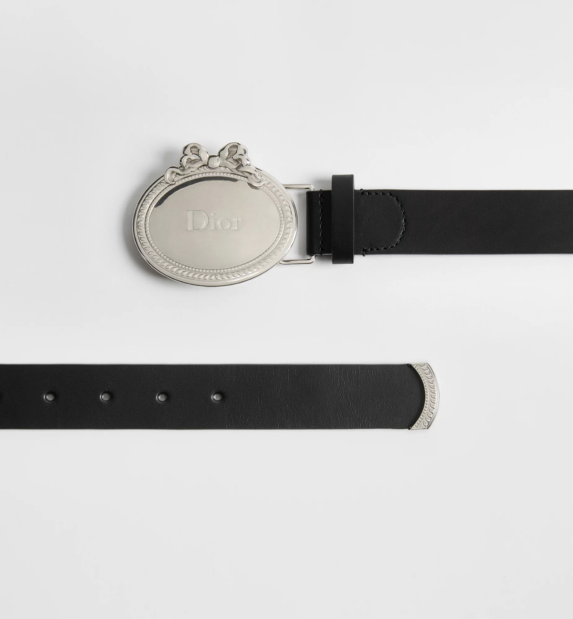 Dior Médaillon Belt In Multi
