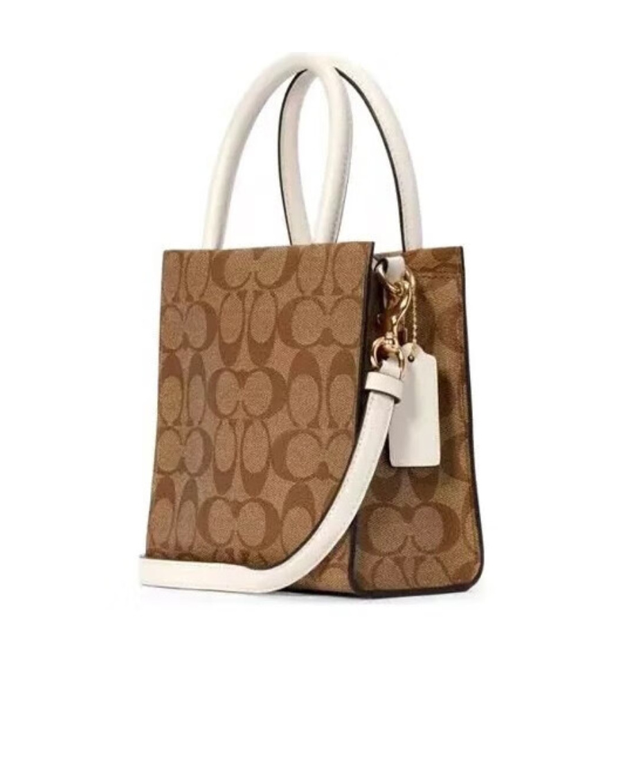 Coach Mini Cally Skew Cross Package In Brown