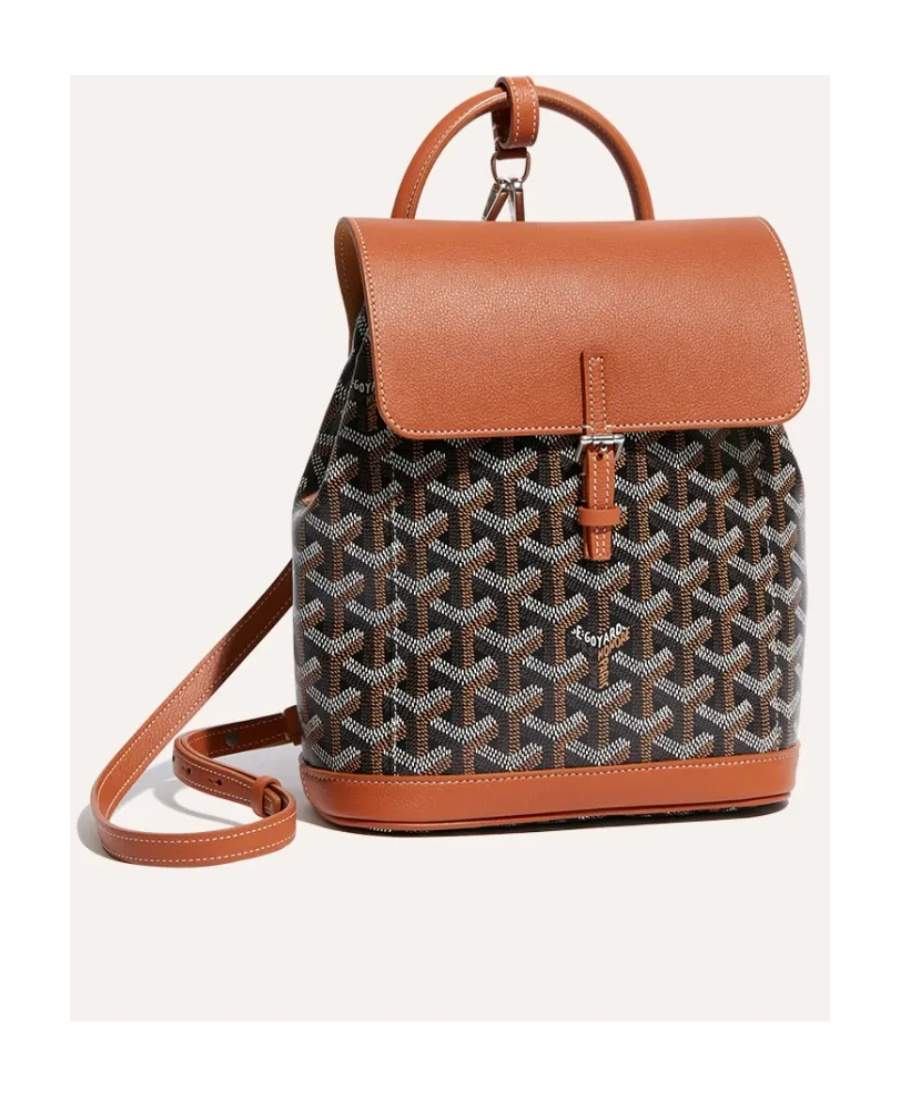 Pre-owned Goyard Mini Alpin Backpack In Multicolor