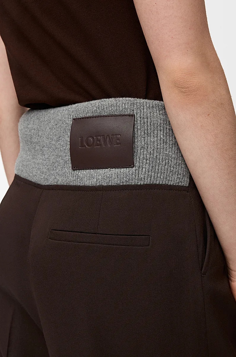Loewe Trousers In Wool In Brown