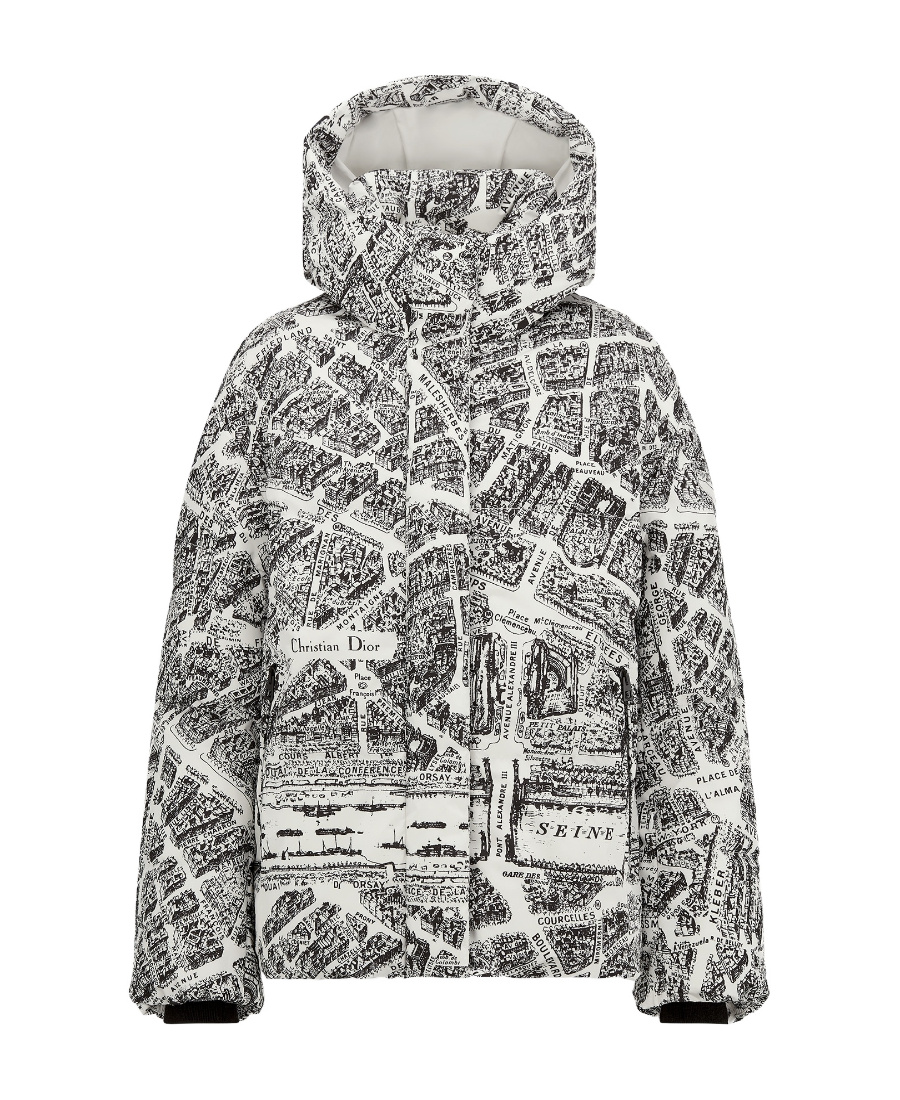 Dior Alps Hooded Down Jacket In Gray
