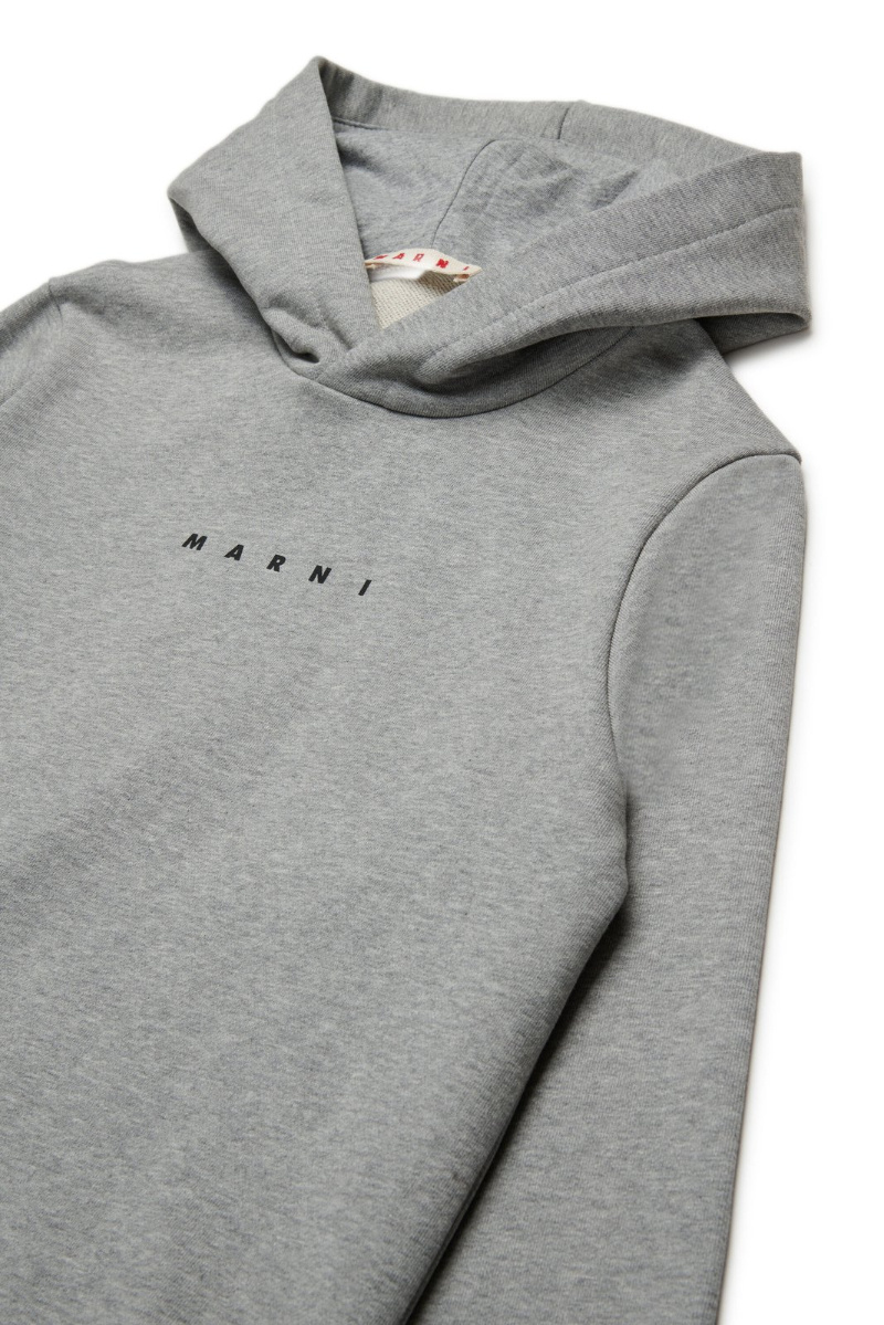Marni Cotton Hoodie In Gray