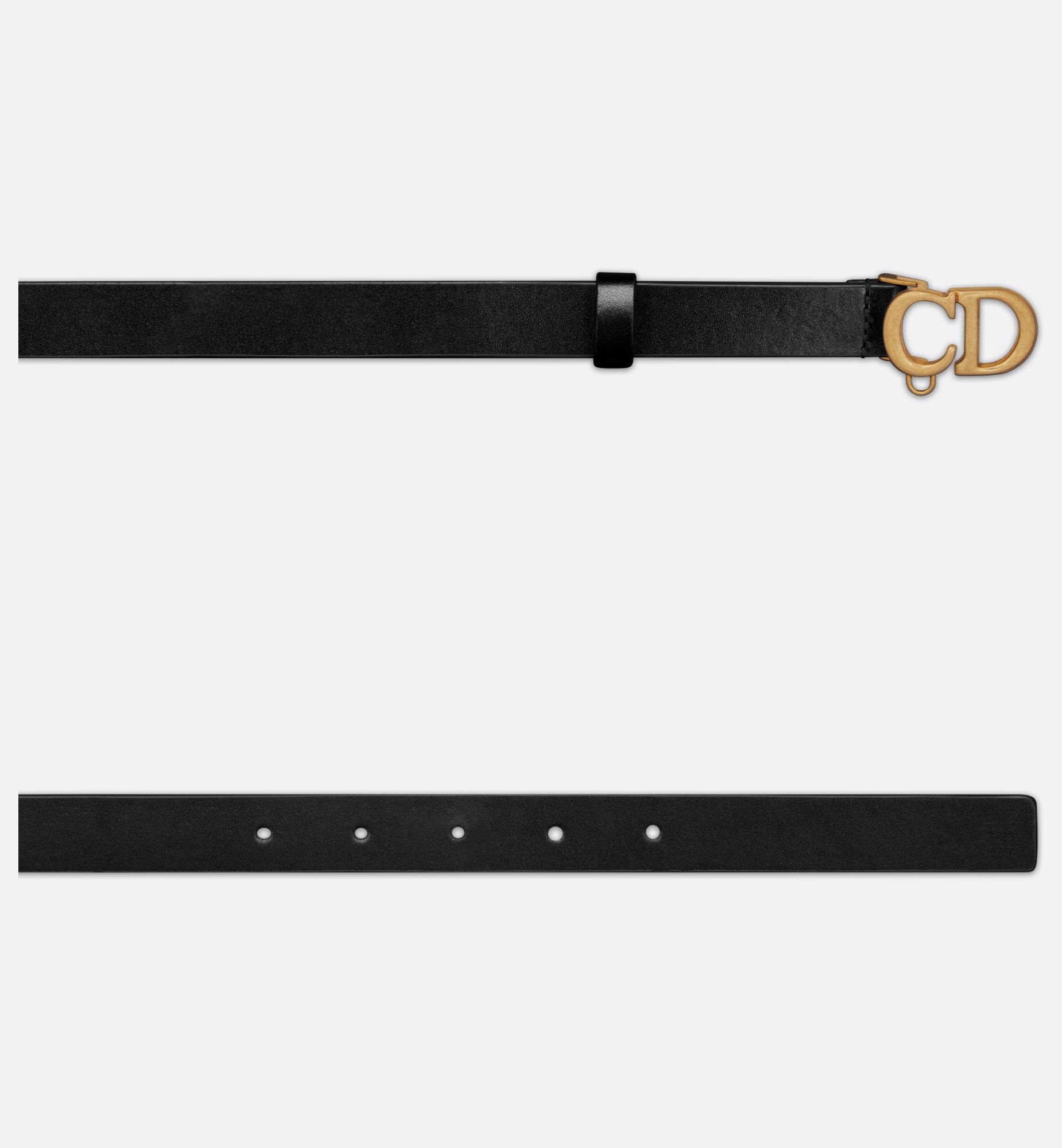 Dior Saddle Removable Bag Belt In Black