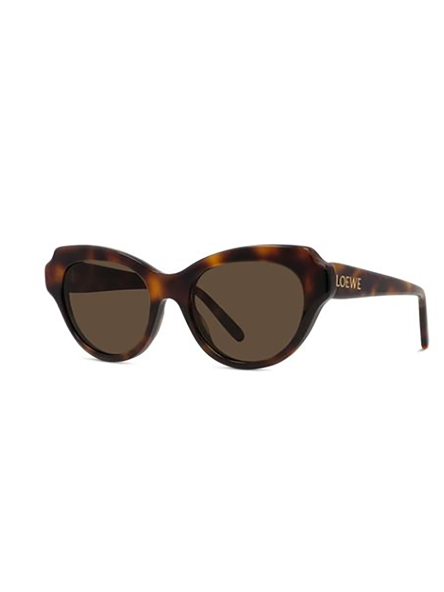 Loewe Full Frame Sunglasses In Brown