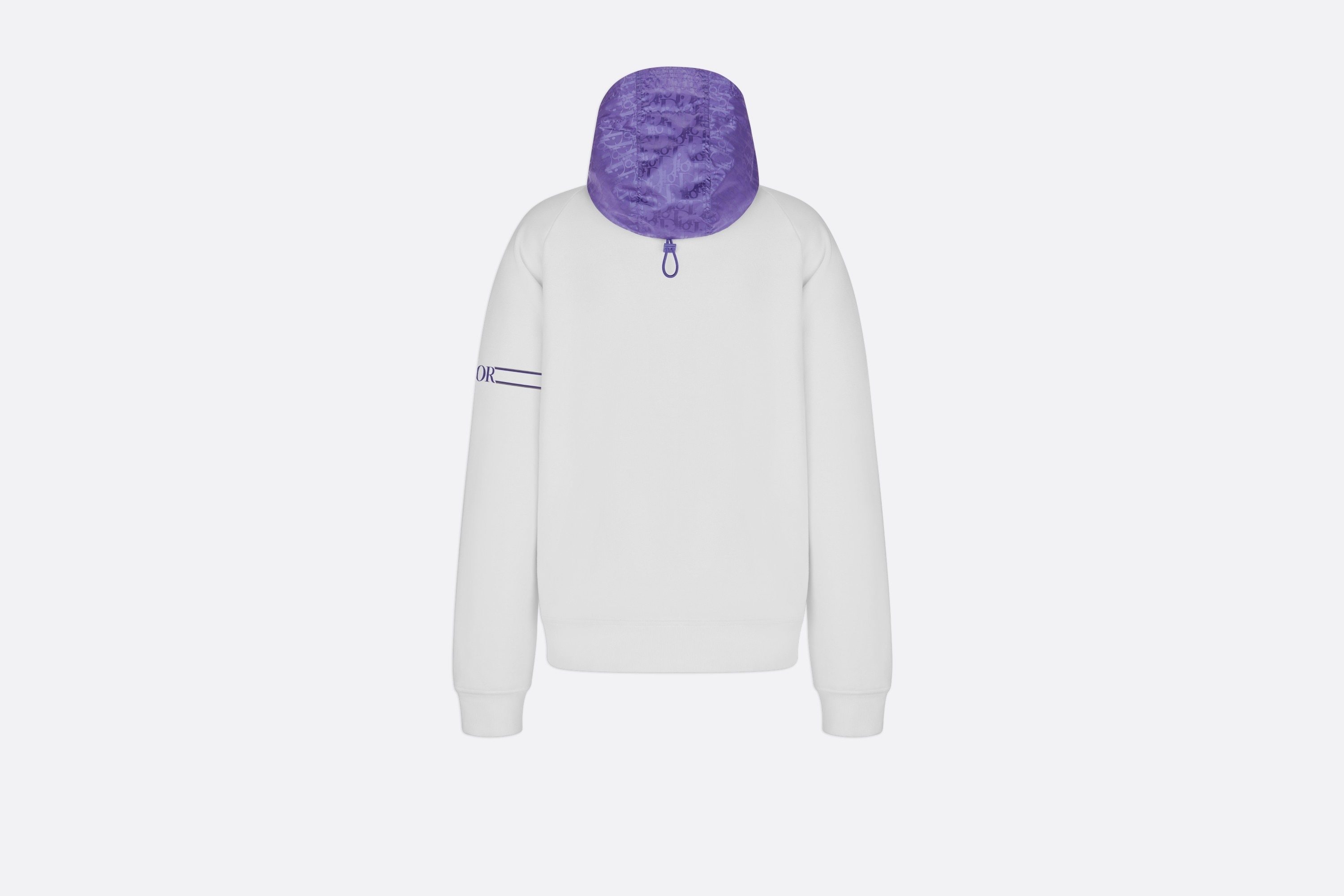Dior Logo Hooded Sweater In White