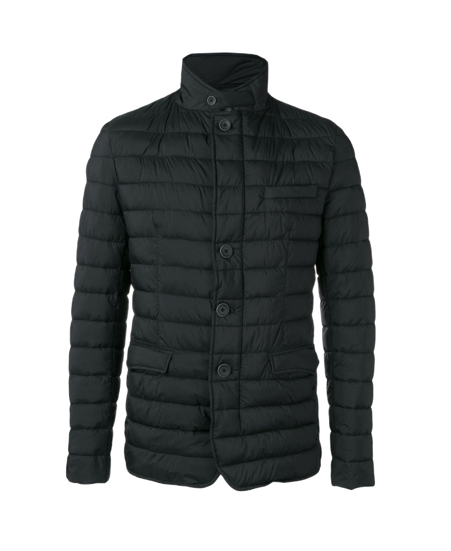 Herno Padded Button-up Jacket In Black