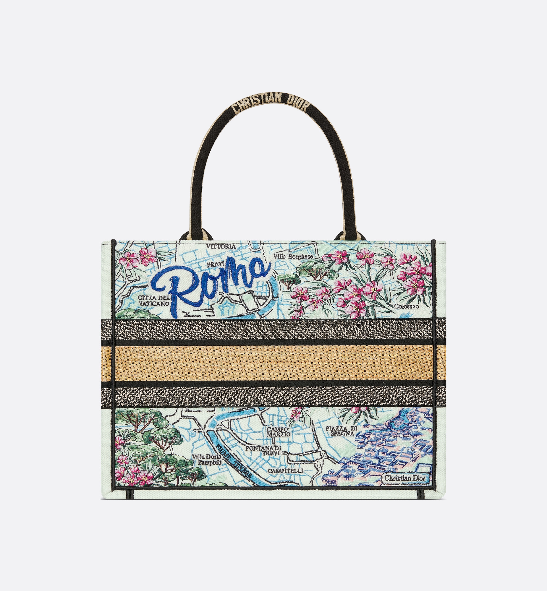 Dior Roma  Souvenir Medium  Book Tote In Multi