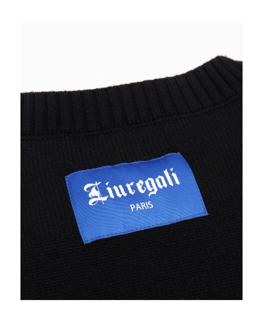 Liuregali Earth Jacquard Pattern Pullover In Black