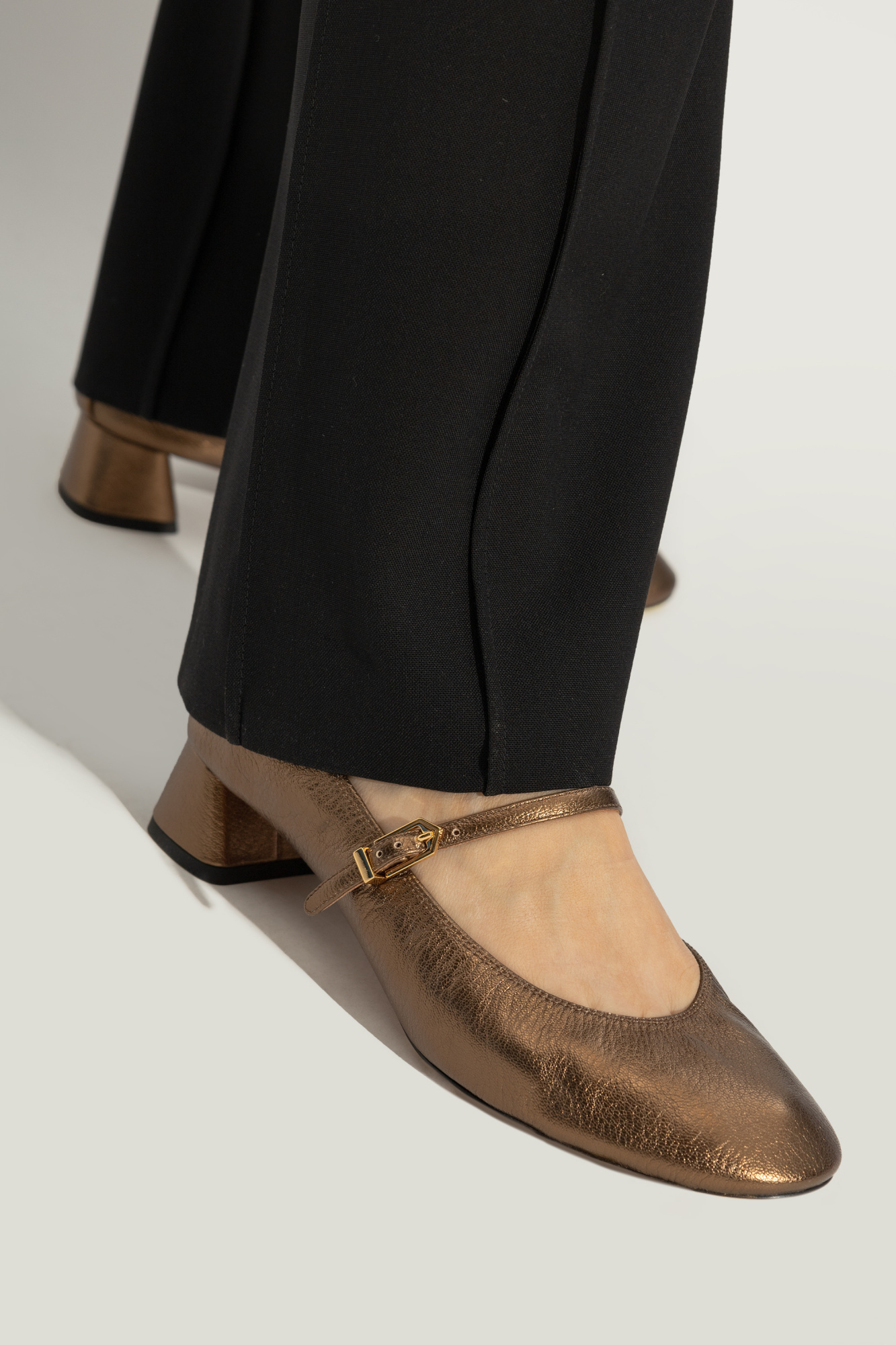 Lanvin Ballerina Pumps In Brown