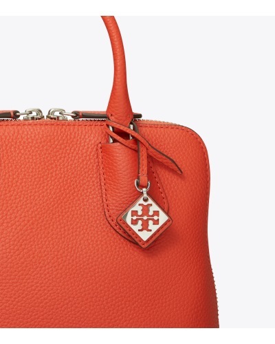 Tory Burch Swing Zip-up Mini Crossbody Bag In Red