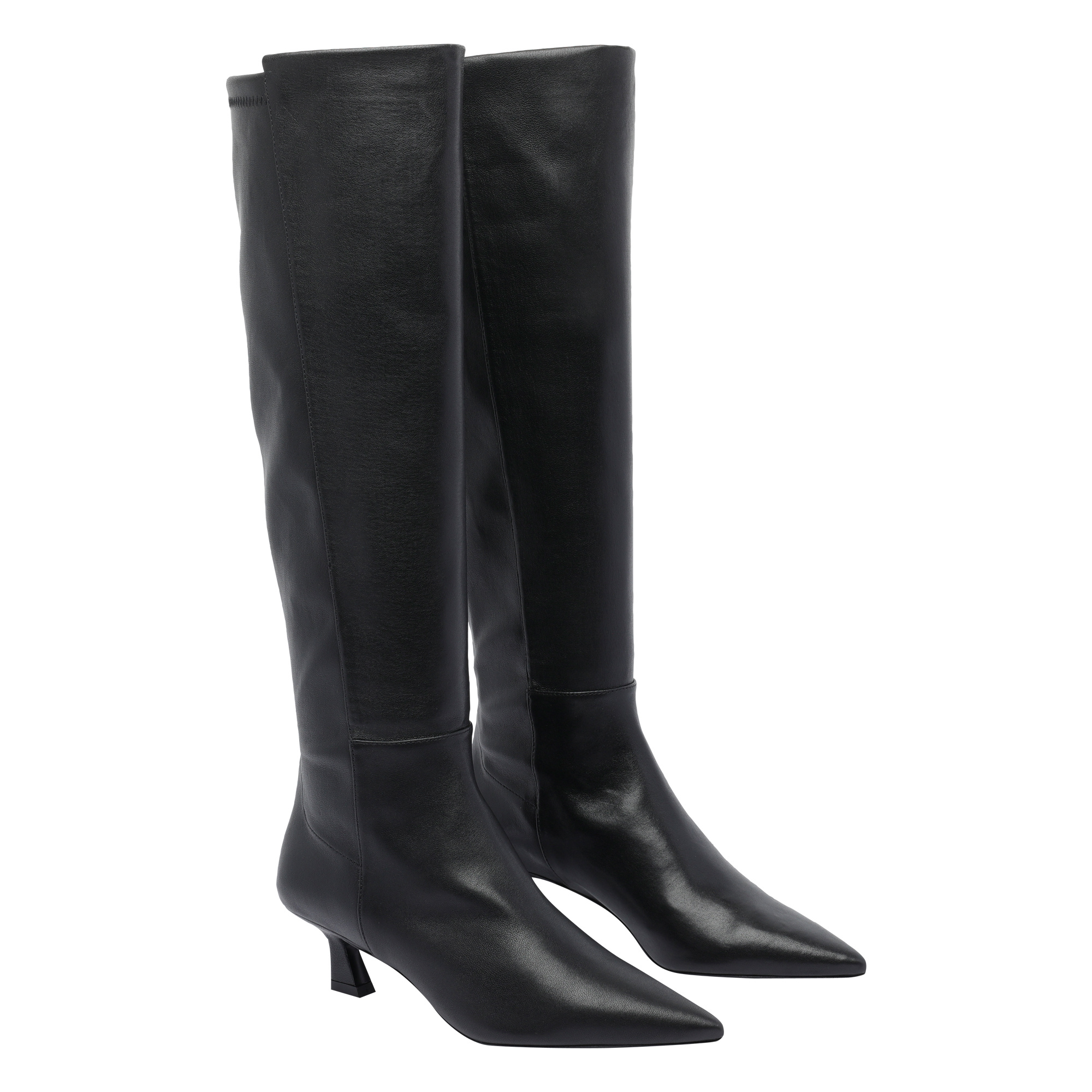 Stuart Weitzman Pointed-toe Boots In Black