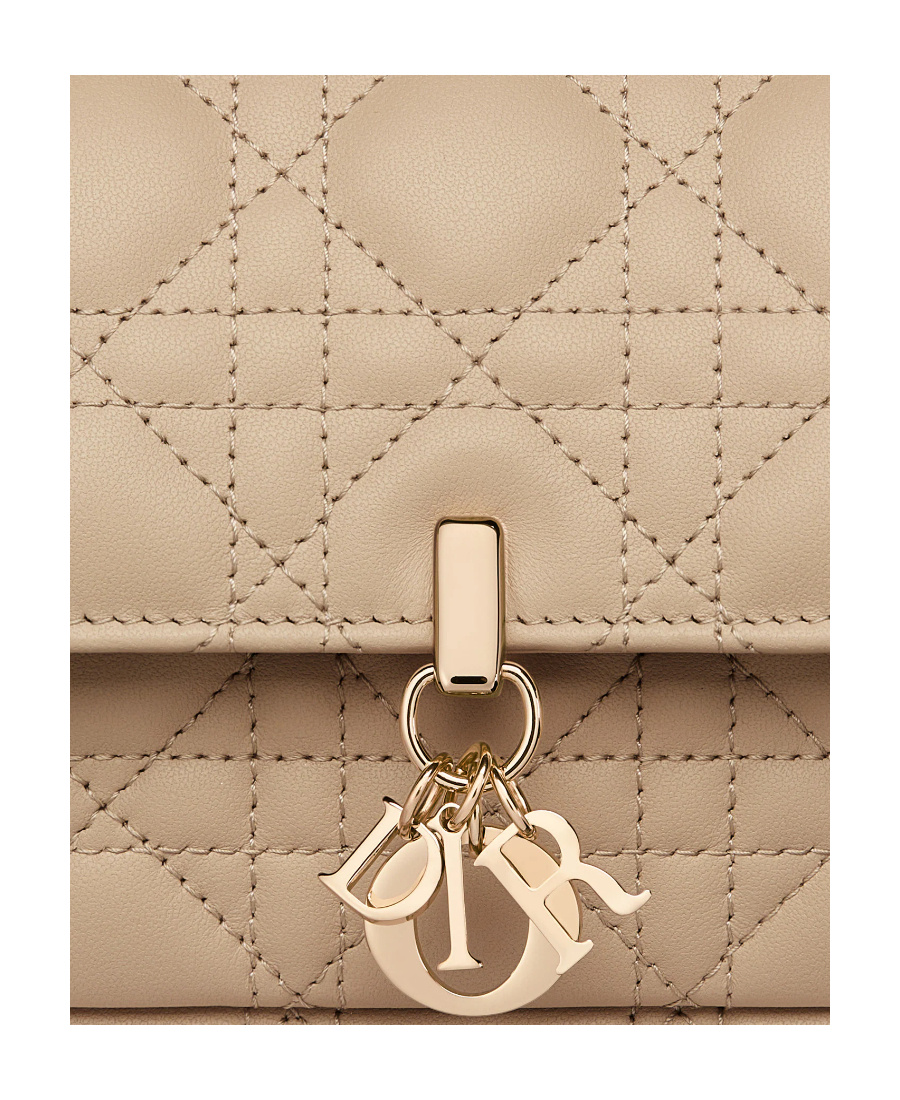 Dior Lady  Chain Pouch In Brown