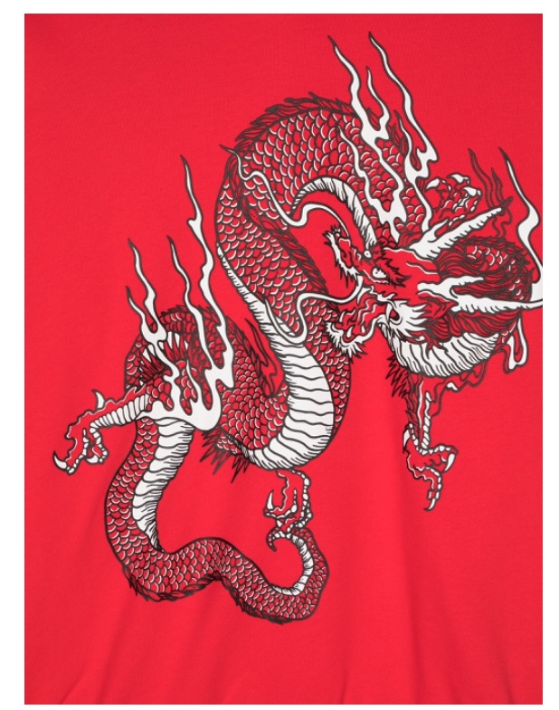 Balmain 3d Dragon-print Hoodie In Red