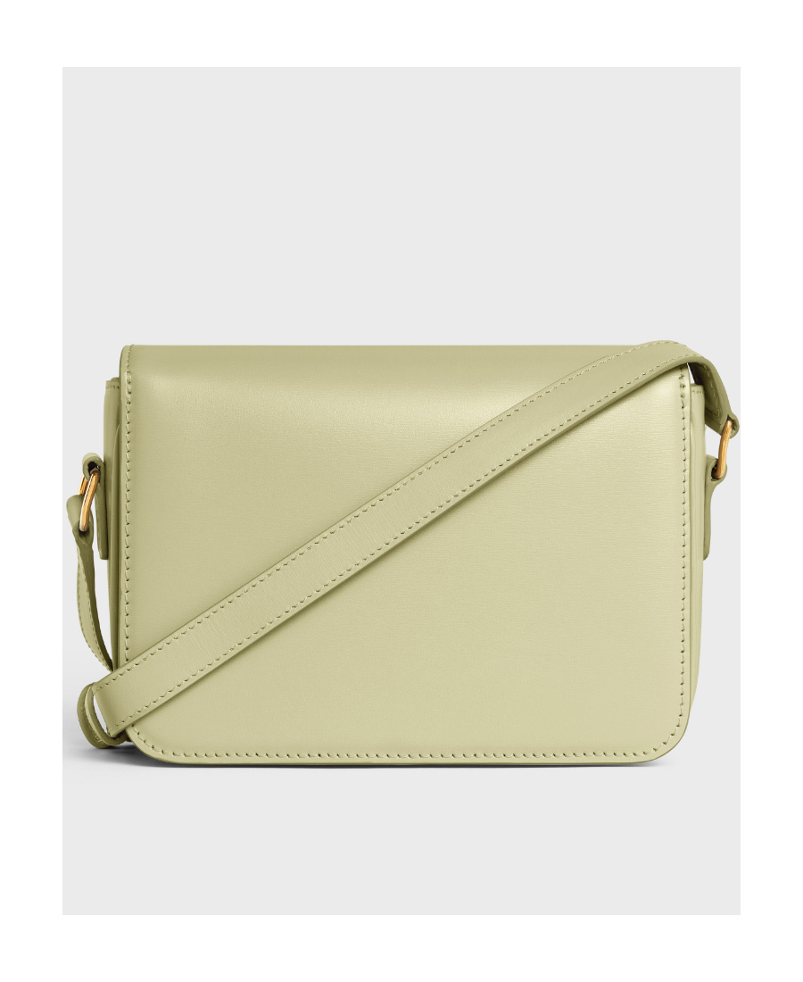Celine Teen Triomphe Bag In Shiny Calfskin In Green