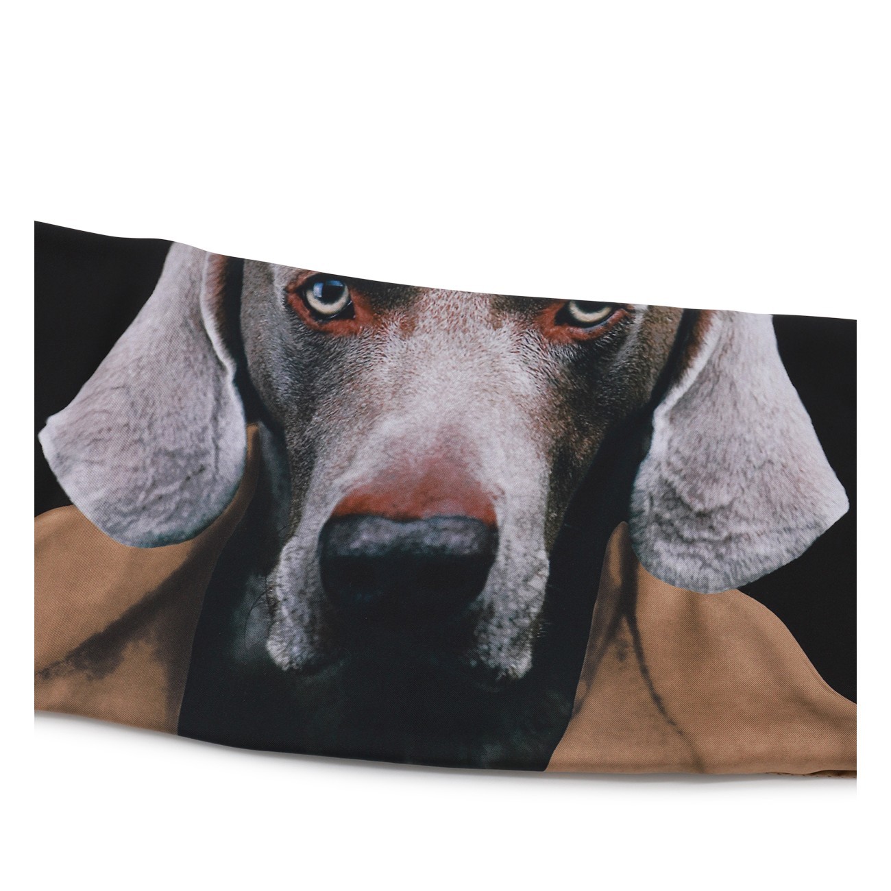 Max Mara Black And Brown Silk Scarves In Black