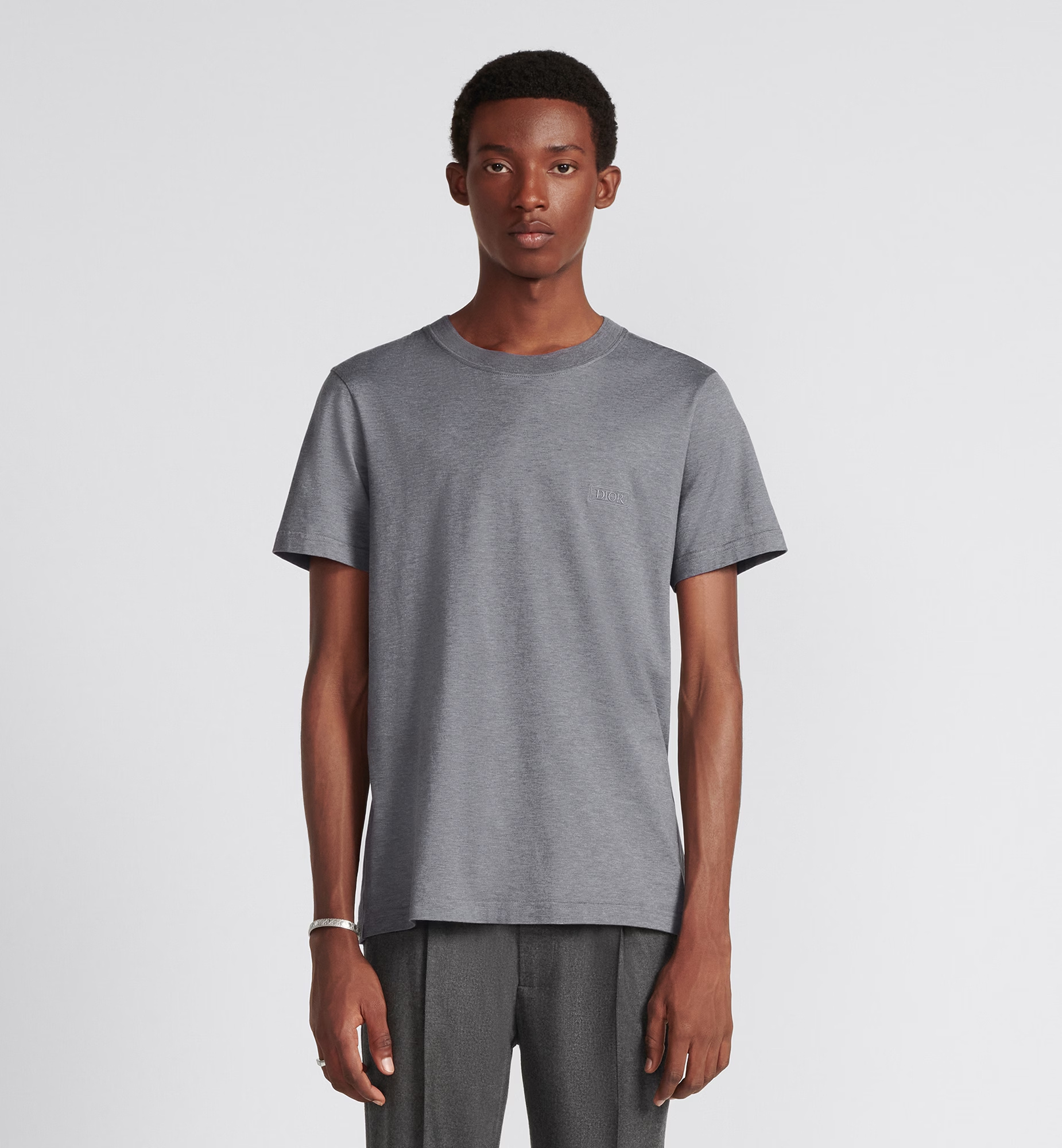 Dior Icons Short Sleeved T-shirt In Gray