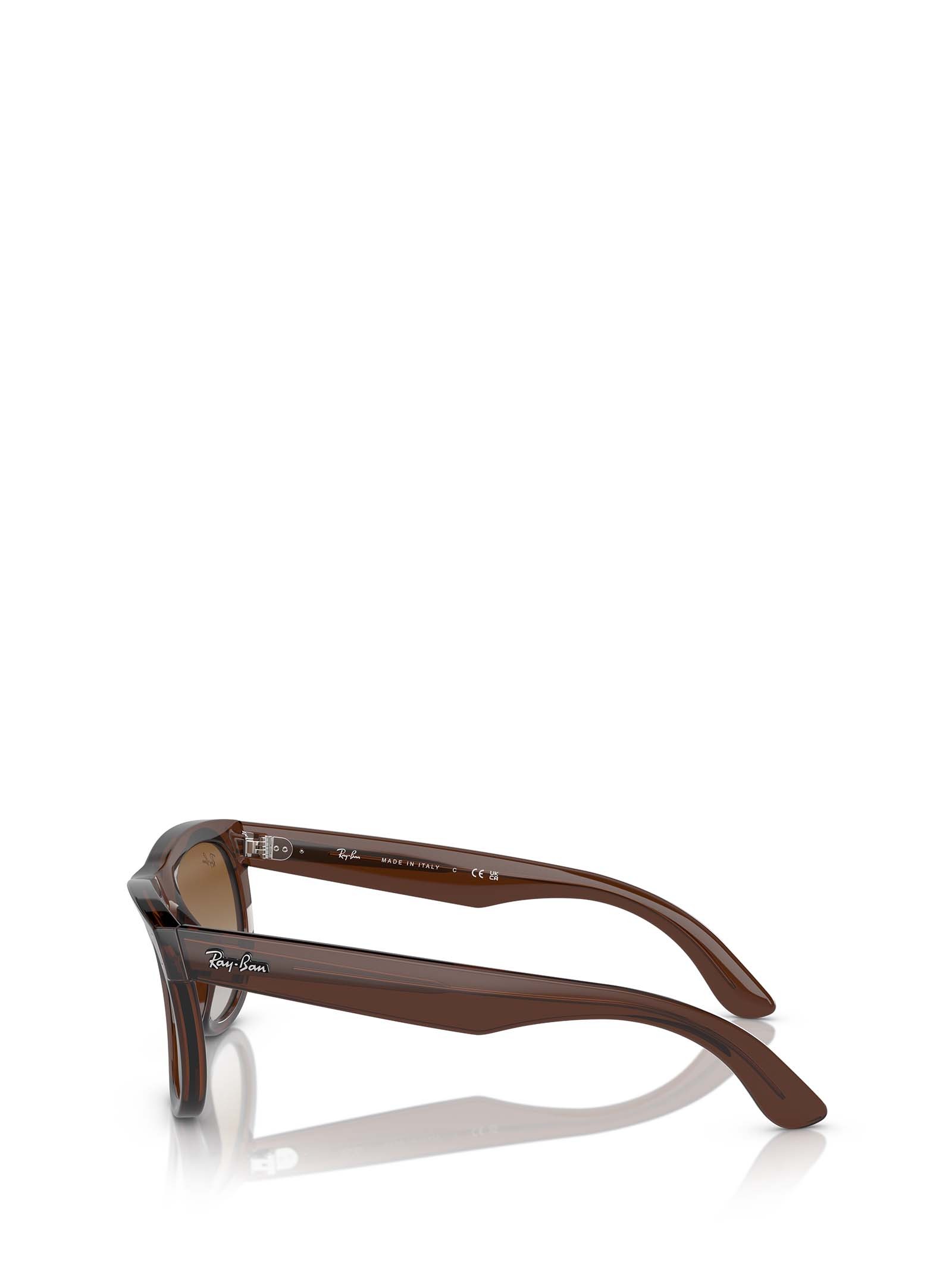 Ray Ban Ray-ban Wayfarer Reverse Sunglasses In Brown
