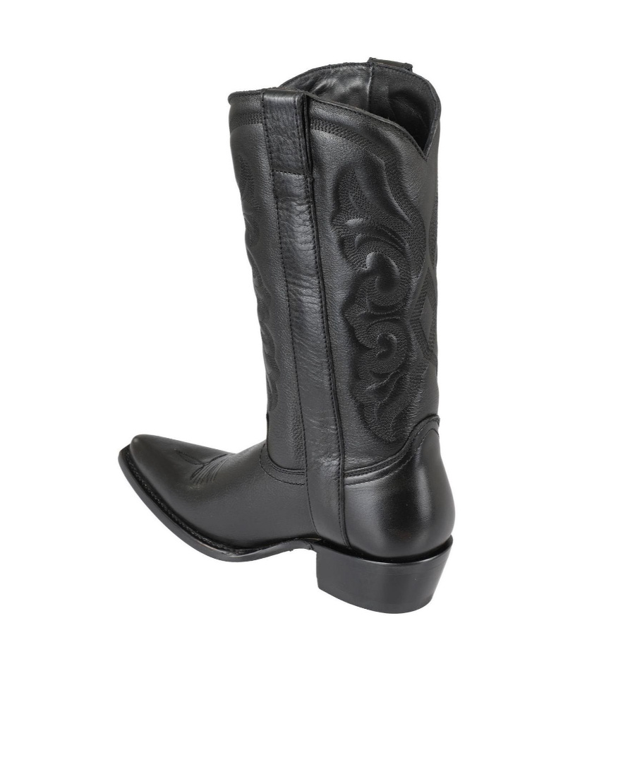 Ash Pointed Boots In Black